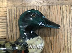Vintage Antique Hand Carved Wooden Duck Decoy Cane Walking Stick Glass Eyes