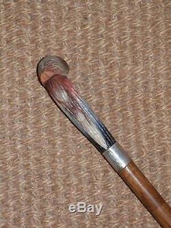 Vintage Hallmarked Silver 1930 Collar Hand Carved Wooden Parrot Walking Stick