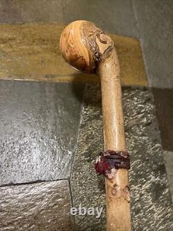 Vintage Hazel Walking Stick W / Extra Large Rootball