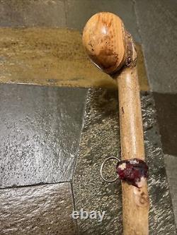 Vintage Hazel Walking Stick W / Extra Large Rootball