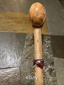 Vintage Hazel Walking Stick W / Extra Large Rootball