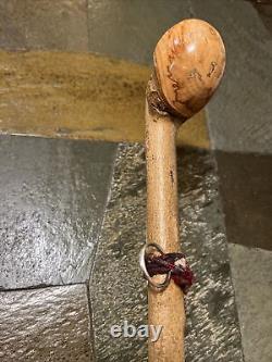 Vintage Hazel Walking Stick W / Extra Large Rootball