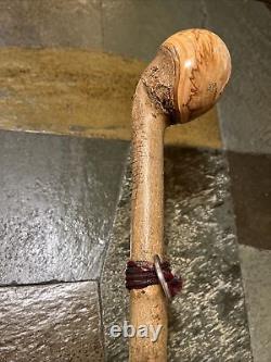 Vintage Hazel Walking Stick W / Extra Large Rootball