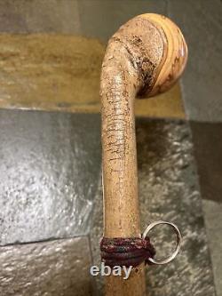 Vintage Hazel Walking Stick W / Extra Large Rootball