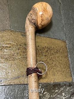 Vintage Hazel Walking Stick W / Extra Large Rootball