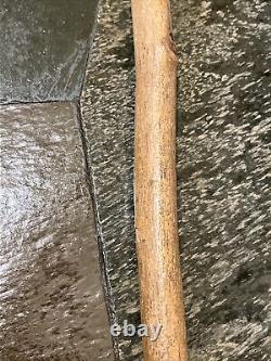 Vintage Hazel Walking Stick W / Extra Large Rootball