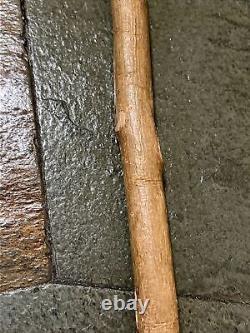 Vintage Hazel Walking Stick W / Extra Large Rootball