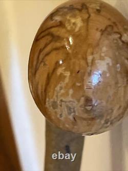 Vintage Hazel Walking Stick W / Extra Large Rootball