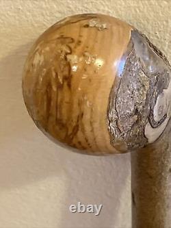 Vintage Hazel Walking Stick W / Extra Large Rootball