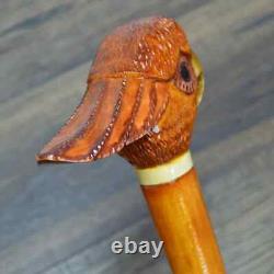 Walking Stick Cane Wooden Walking Cane Handmade Cockatoo Parrot Orange