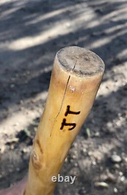 Wooden Cane Walking Hiking Stick Natural Vine Twisted Bucksnork TENN. 4.5