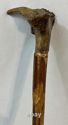 Wooden Glossy Walking Stick Cane Natural Knot Handle Walking Cane 40.5