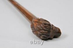 Wooden Walking Stick Cane Lion Head Handle Animal Wood Hand Carved Replica