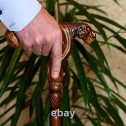 Wooden cane walking stick Ergonomic palm grip handle T-Rex dinosaur