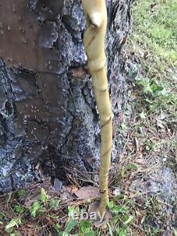 Wooden walking stick / hicking stick Hand Carved in the USA Oak Wood 64