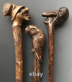 (2) Art Folk Sculpté Bâtons De Marche En Bois + Hobo Canes Poignée Parrot Oiseaux, 1900s