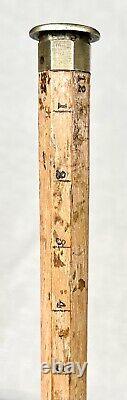 Ancienne canne à mesurer en bois du 19ème siècle avec pommeau à système de mesure et style rétro