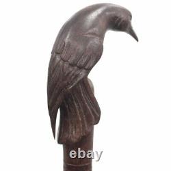 Bâton De Marche De Canne En Bois Oiseaux De Marche Main Sculptée Oiseaux Top Cane Cadeaux Vintage