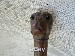 Bâton De Marche En Bois Sculpté Antique Du 19ème C Avec Chien Bulldog Figural Glass Eyes