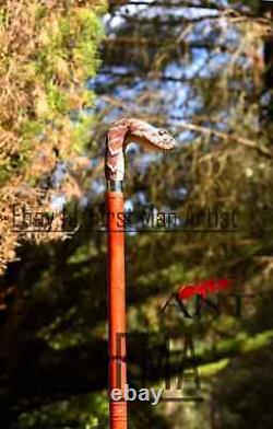 Bâton de marche animal tête de serpent en bois sculpté à la main - Meilleure canne de marche en forme de serpent