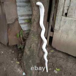 Bâton de marche en bois africain sculpté à la main avec poignée en forme de serpent cobra blanc.