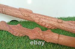 Bâton de marche en bois avec poignée en forme de dragon, canne pliante sculptée à la main, fait main, longueur de 38 pouces.