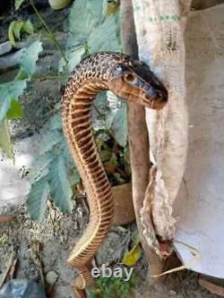 Bâton de marche en bois sculpté à la main avec un cobra, canne de marche faite à la main, animal