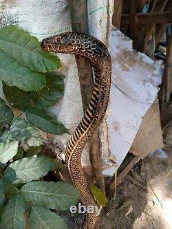 Bâton de marche en bois sculpté à la main avec une canne à marche en forme de cobra faite à la main