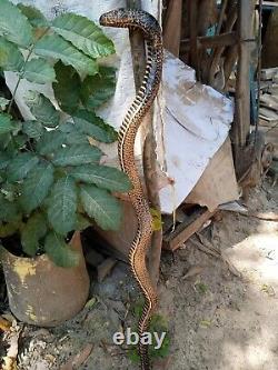 Bâton de marche en bois sculpté à la main avec une canne à marche en forme de cobra faite à la main