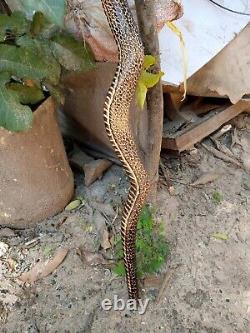 Bâton de marche en bois sculpté à la main avec une canne à marche en forme de cobra faite à la main