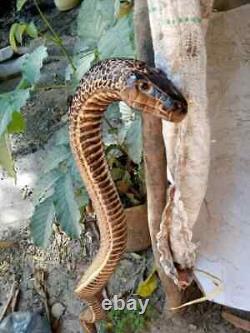 Bâton de marche en bois sculpté à la main, avec une canne de marche en forme de cobra faite à la main.