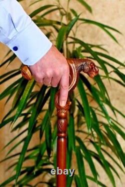 Bâton de marche en bois unique de dinosaure sculpté à la main en bois cadeaux articles