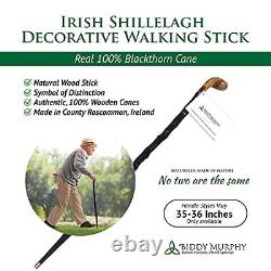 Bâton de marche irlandais en bois de Shillelagh importé, fabriqué à la main en 100% d'aubépine