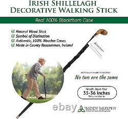 Bâton de marche irlandais en bois de Shillelagh importé, fait à la main à 100% en bois d'épine noire.