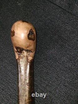 Bâton de marche irlandais en shillelagh