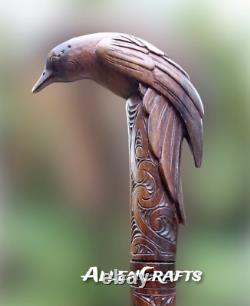 Bâton de marche maori en bois sculpté, poignée en forme de tête d'oiseau sculptée, canne simple à deux volets.
