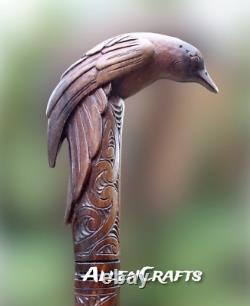 Bâton de marche maori en bois sculpté, poignée en forme de tête d'oiseau sculptée, canne simple à deux volets.