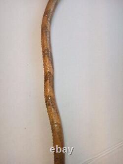 Bâton de marche sculpté à la main en forme de serpent avec crocs, yeux en pierre précieuse et design nervuré en bois