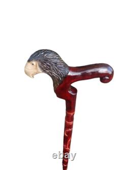 Belle canne de marche en bois avec poignée sculptée en tête d'aigle - 37 pouces