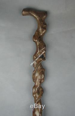 Canne De Marche Canne En Bois Sculpté De Racine De Bois Dur Ji-chi De Chine Brune