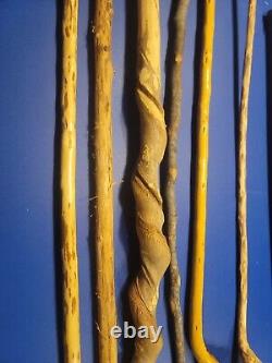 Canne en bois sculptée à la main, canes uniques, lot de 7 cannes