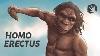 Homo Erectus Les Premiers Humains