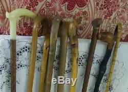 Lot De 9 Walking Vintage En Bois Stick & Canne Collection 6 Randonnée Médaillons