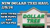 Nouveau Butin De Dollar Tree 2 9 24