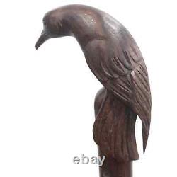 Poignée de tête d'oiseau Canne de marche en bois sculptée à la main Bâton de marche de Noël
